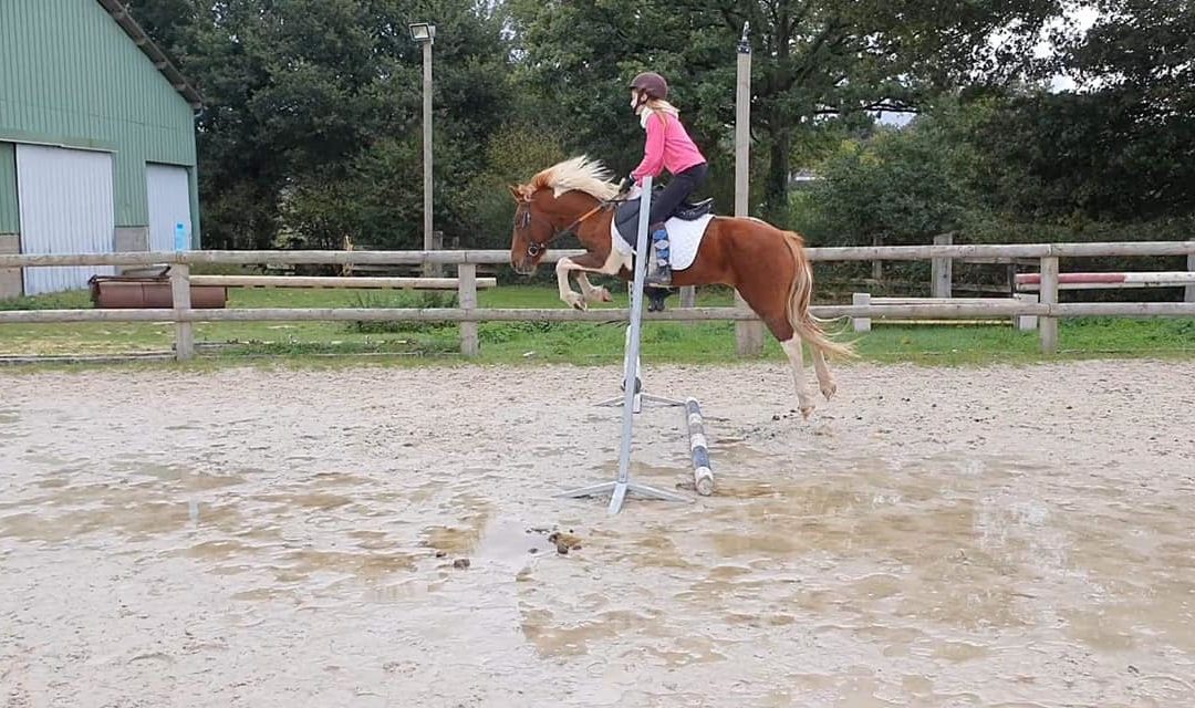 Cours d’équitation