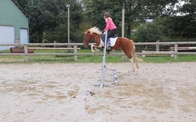 Cours d’équitation