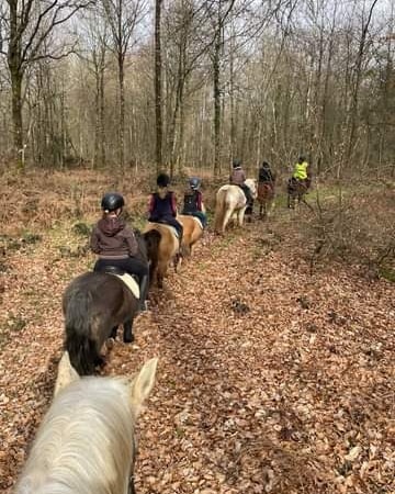Balade a Poney ou a cheval